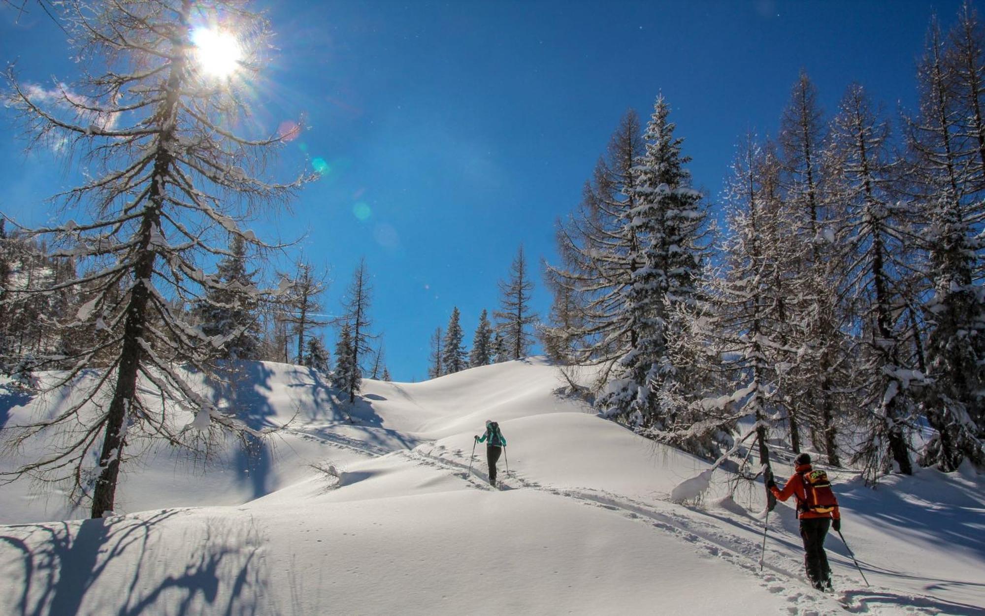 Naturparkresort Alte Schule Hieflau Zewnętrze zdjęcie