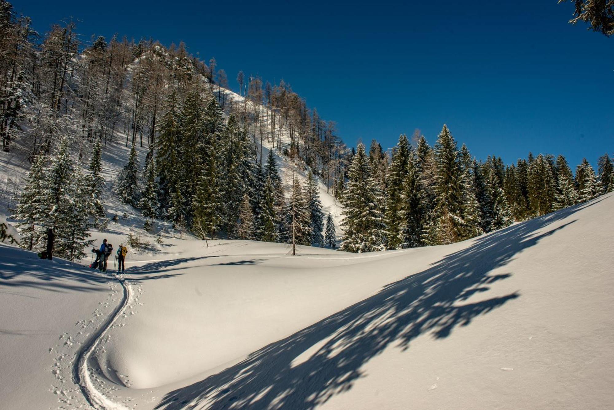 Naturparkresort Alte Schule Hieflau Zewnętrze zdjęcie